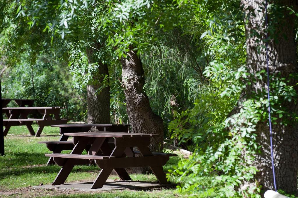 Hotel Adelaide Brownhill Creek Tourist Park Esterno foto
